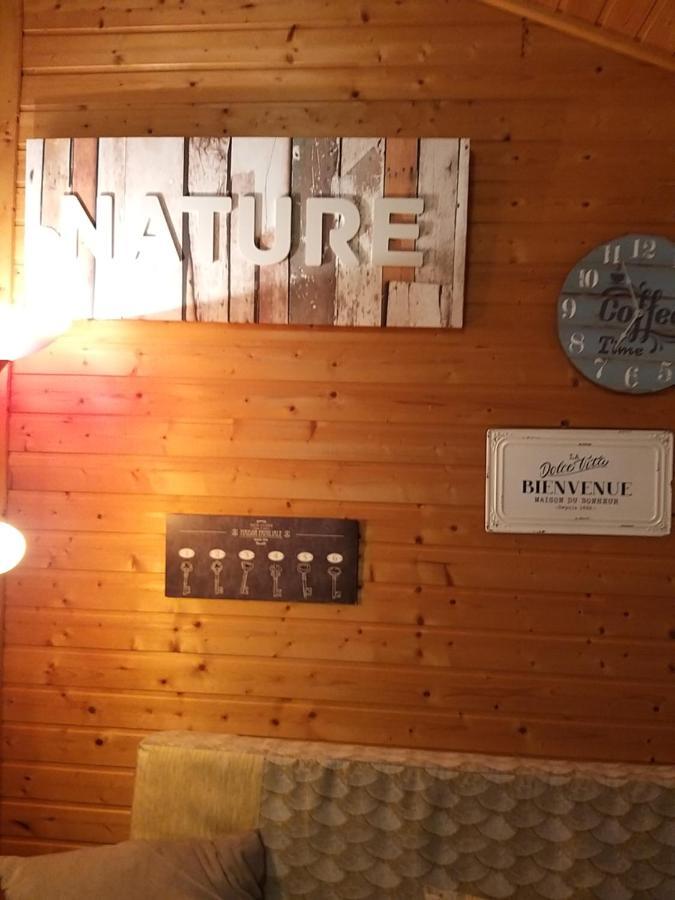 Le Chalet De Sabine Et Patrick Val-de-Sos Extérieur photo